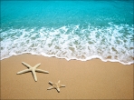 Морская волна и звезды на песке