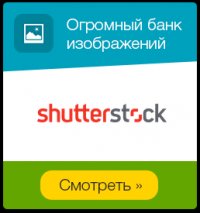 shutter stock